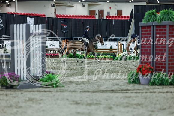 2025 - Shea - Royal West - Saturday October 18th - 02660