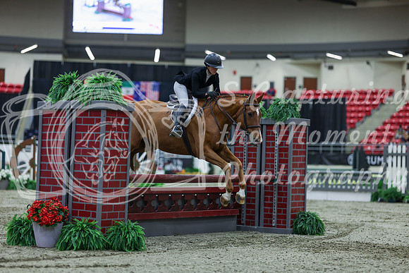 2025 - Shea - Royal West - Saturday October 18th - 02008