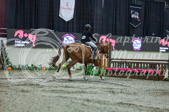 2025 - Shea - Royal West - Saturday October 18th - 02010