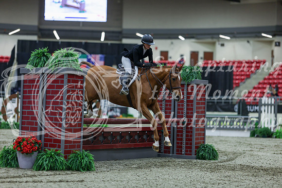2025 - Shea - Royal West - Saturday October 18th - 02009