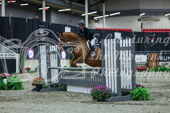 2025 - Shea - Royal West - Saturday October 18th - 02014