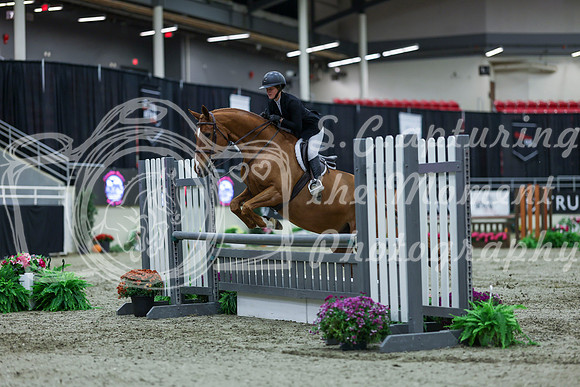 2025 - Shea - Royal West - Saturday October 18th - 02015