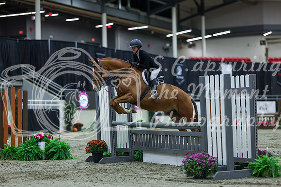 2025 - Shea - Royal West - Saturday October 18th - 02019