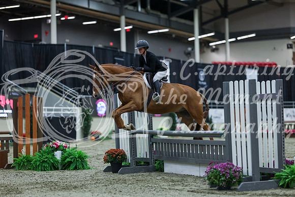 2025 - Shea - Royal West - Saturday October 18th - 02021