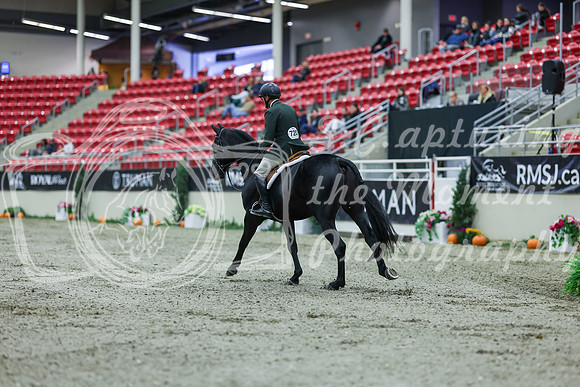 2025 - Shea - Royal West - Saturday October 18th - 01912