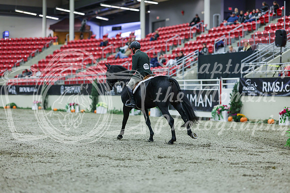 2025 - Shea - Royal West - Saturday October 18th - 01913