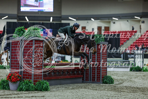 2025 - Shea - Royal West - Saturday October 18th - 02299