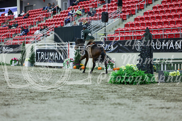 2025 - Shea - Royal West - Saturday October 18th - 02312
