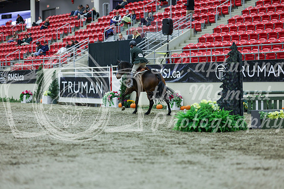 2025 - Shea - Royal West - Saturday October 18th - 02313