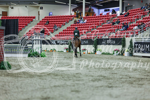 2025 - Shea - Royal West - Saturday October 18th - 02317