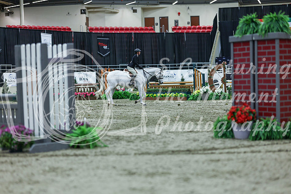 2025 - Shea - Royal West - Saturday October 18th - 02613