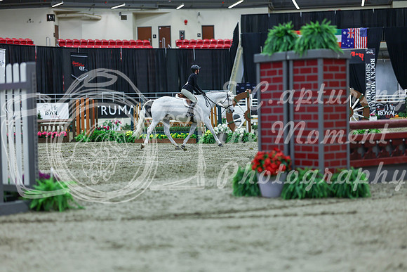 2025 - Shea - Royal West - Saturday October 18th - 02615