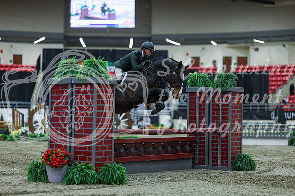 2025 - Shea - Royal West - Saturday October 18th - 02915