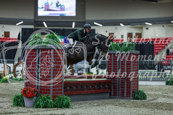 2025 - Shea - Royal West - Saturday October 18th - 02916
