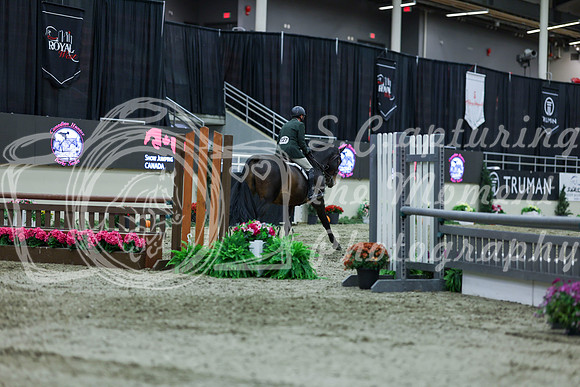 2025 - Shea - Royal West - Saturday October 18th - 02923