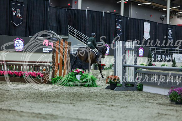 2025 - Shea - Royal West - Saturday October 18th - 02924