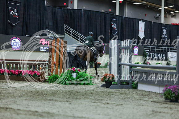 2025 - Shea - Royal West - Saturday October 18th - 02925