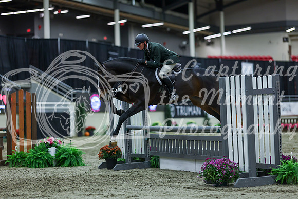 2025 - Shea - Royal West - Saturday October 18th - 02932