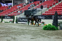 2025 - Shea - Royal West - Saturday October 18th - 02933