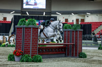 2025 - Shea - Royal West - Saturday October 18th - 02575