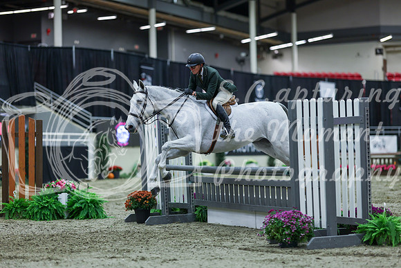 2025 - Shea - Royal West - Saturday October 18th - 02585