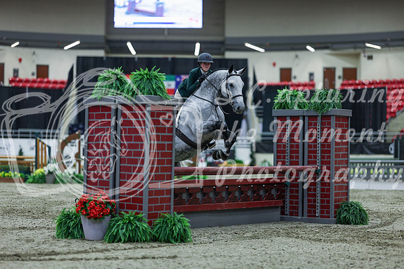 2025 - Shea - Royal West - Saturday October 18th - 02146