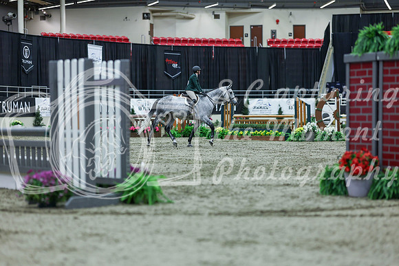 2025 - Shea - Royal West - Saturday October 18th - 02165