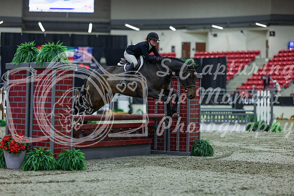 2025 - Shea - Royal West - Saturday October 18th - 02720