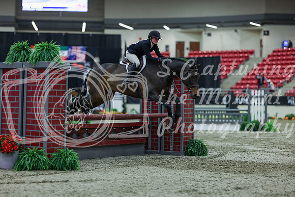 2025 - Shea - Royal West - Saturday October 18th - 02721