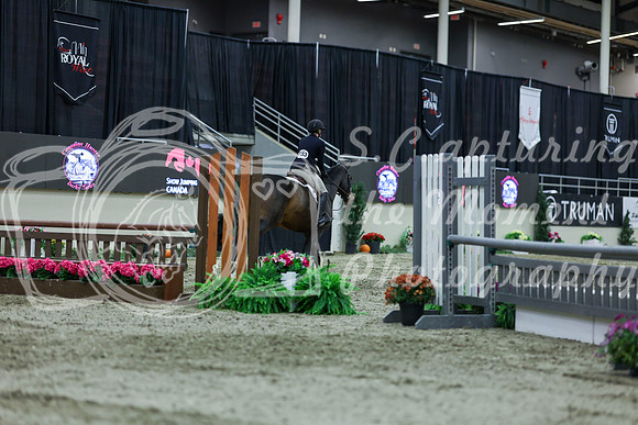 2025 - Shea - Royal West - Saturday October 18th - 02723