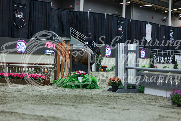 2025 - Shea - Royal West - Saturday October 18th - 02724