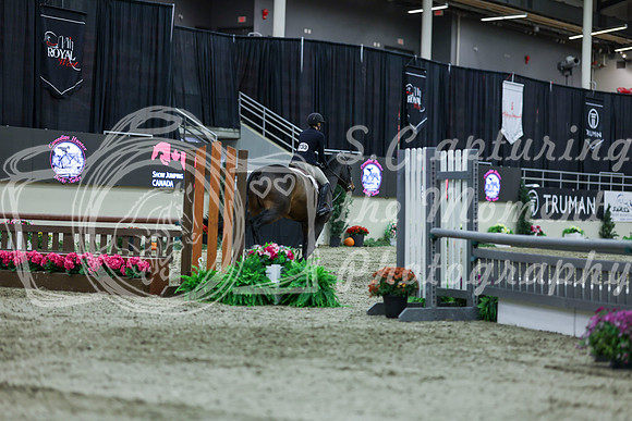2025 - Shea - Royal West - Saturday October 18th - 02725