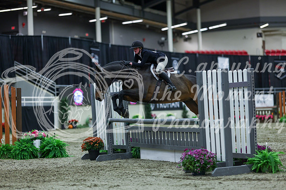 2025 - Shea - Royal West - Saturday October 18th - 02730