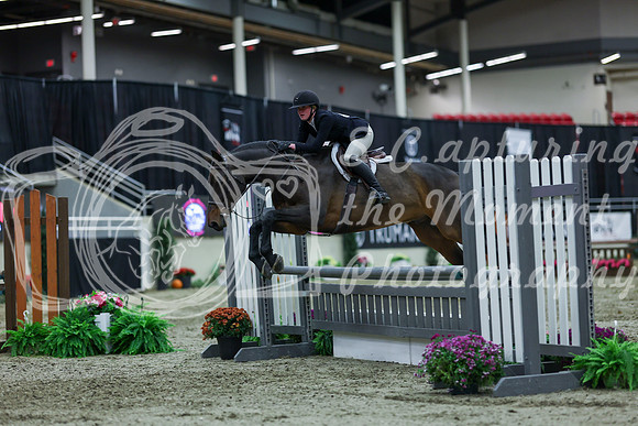 2025 - Shea - Royal West - Saturday October 18th - 02731
