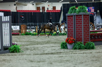 2025 - Shea - Royal West - Saturday October 18th - 02734