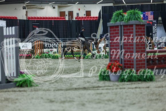 2025 - Shea - Royal West - Saturday October 18th - 02734