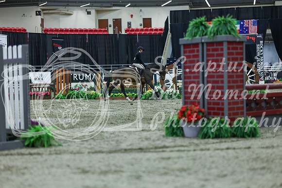 2025 - Shea - Royal West - Saturday October 18th - 02735