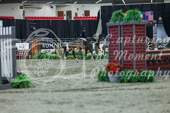 2025 - Shea - Royal West - Saturday October 18th - 02736
