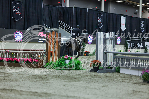 2025 - Shea - Royal West - Saturday October 18th - 02181