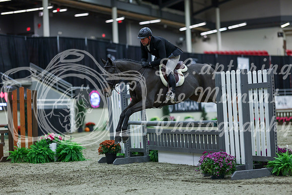 2025 - Shea - Royal West - Saturday October 18th - 02188