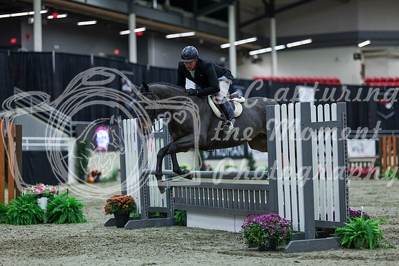 2025 - Shea - Royal West - Saturday October 18th - 02216