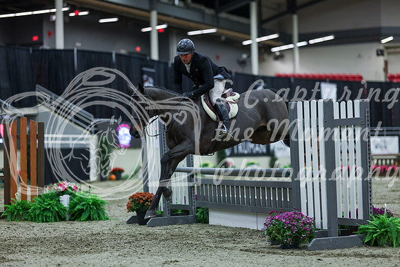 2025 - Shea - Royal West - Saturday October 18th - 02218