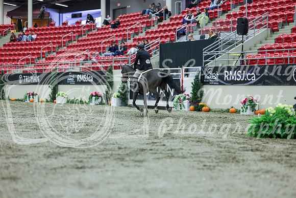 2025 - Shea - Royal West - Saturday October 18th - 02221