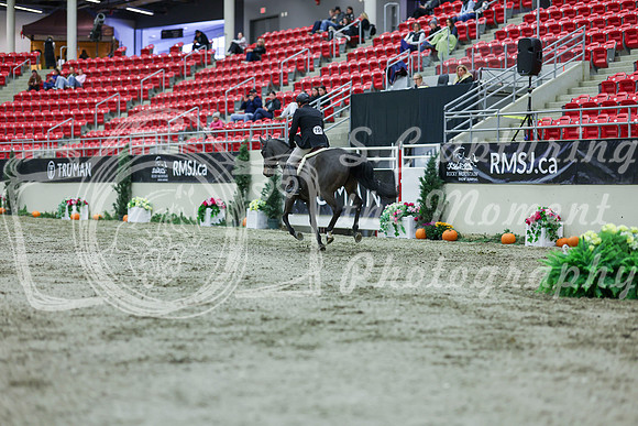 2025 - Shea - Royal West - Saturday October 18th - 02222