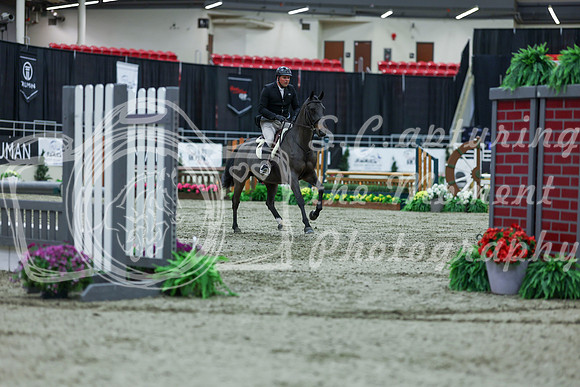 2025 - Shea - Royal West - Saturday October 18th - 02223
