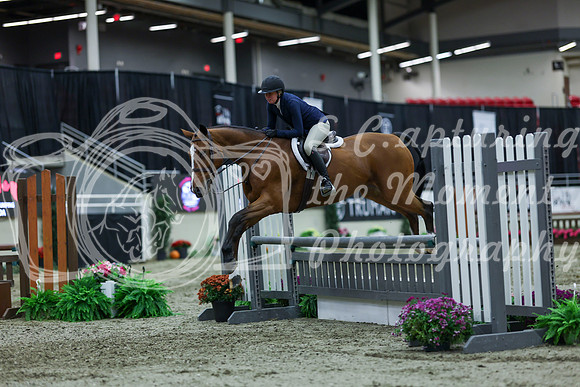 2025 - Shea - Royal West - Saturday October 18th - 02820