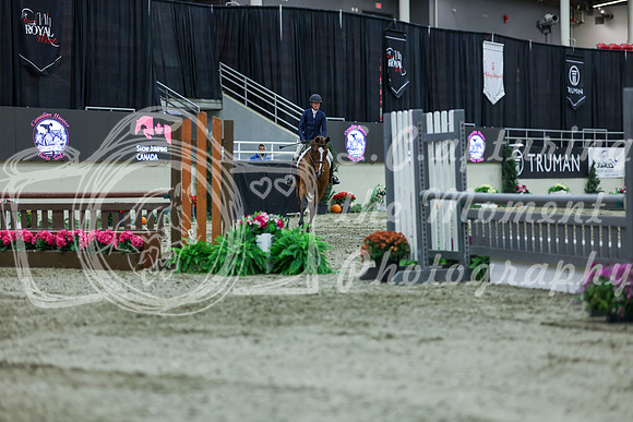 2025 - Shea - Royal West - Saturday October 18th - 02823