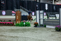 2025 - Shea - Royal West - Saturday October 18th - 02824