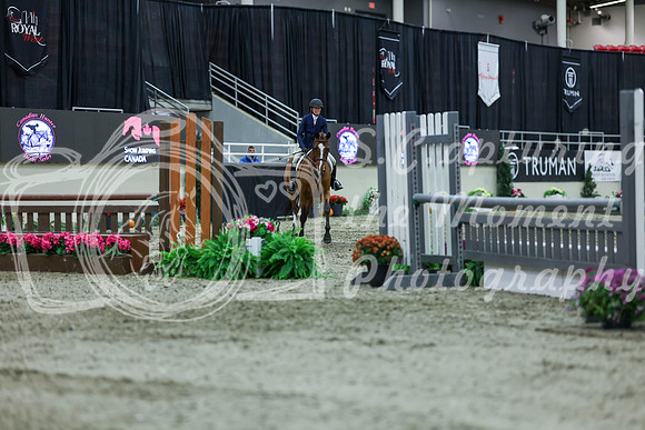 2025 - Shea - Royal West - Saturday October 18th - 02826