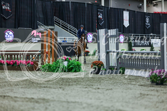 2025 - Shea - Royal West - Saturday October 18th - 02827